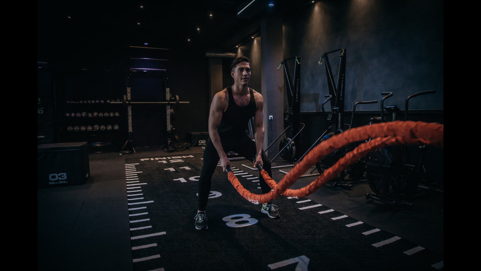 Battle Ropes and Belly Fat: Your Ultimate Guide to Using a Battle Rope -  Next Alpha
